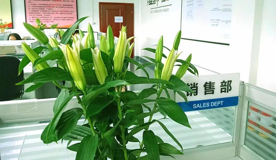 濃情七夕，最美祝福！